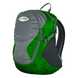Рюкзак Terra Incognita Master 30, green / grey