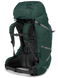 Рюкзак Osprey Aether Plus 85, Зелений