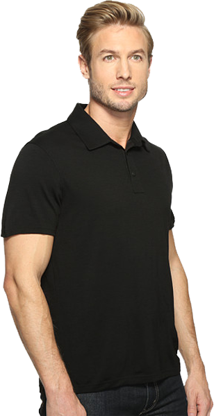 Термофутболка Smartwool Merino 150 Pattern Polo SW 00246.003-L фото