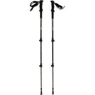 Трекінгові палиці Tribe Trekking Pole Carbon T-ME-0027-ocean фото