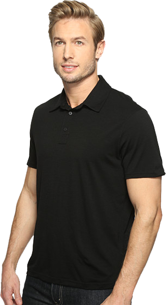 Термофутболка Smartwool Merino 150 Pattern Polo SW 00246.003-L фото