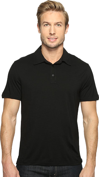 Термофутболка Smartwool Merino 150 Pattern Polo SW 00246.003-L фото