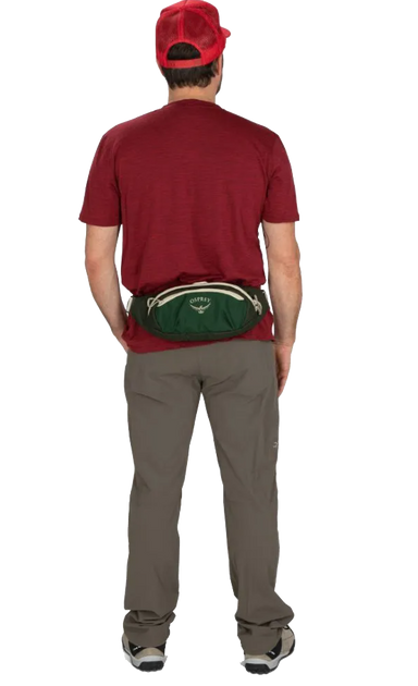 Сумка на пояс Osprey Daylite Waist 009.2498 фото