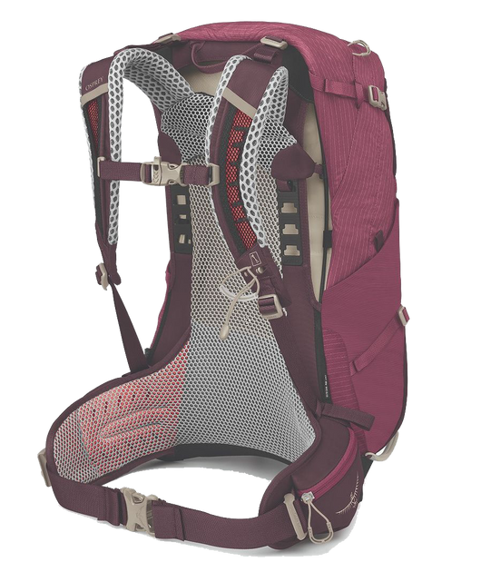 Рюкзак Osprey&nbsp;Sirrus 24 009.3593 фото