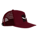 Кепка ж Salewa PURE SALAMANDER LOGO W CAP 013.012.0503 фото