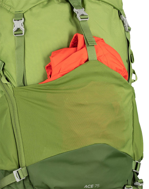 Рюкзак Osprey Ace 75 009.2130 фото