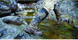 Ремінь для бахіл Sea to summit Gaiter strap replacement pair STS AGSR фото 5